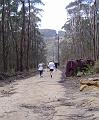 1a bush trail 081
